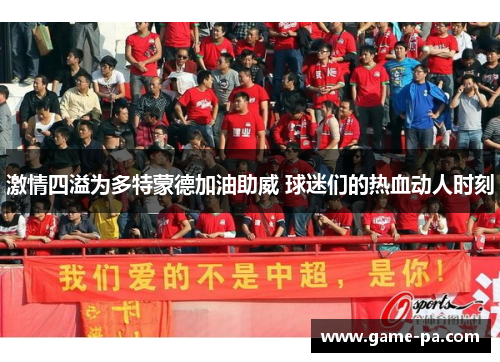 激情四溢为多特蒙德加油助威 球迷们的热血动人时刻